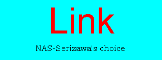 NAS-Serizawa's best link