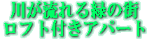 ݃Ap[ǵA삪΂̊Xɂ܂